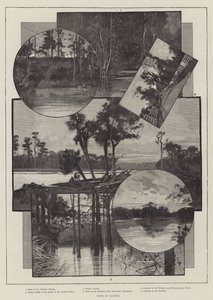 Vistas en Florida de Charles Auguste Loye